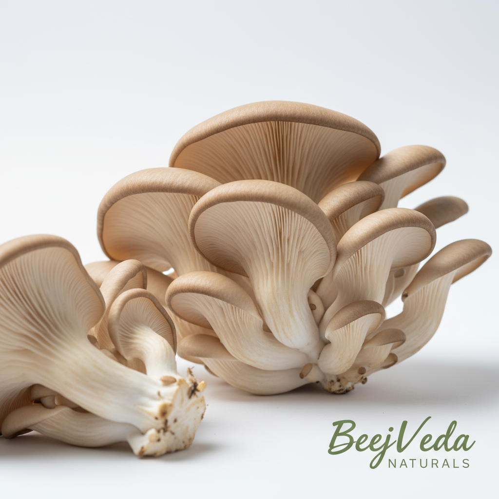 Oyster Mushrooms