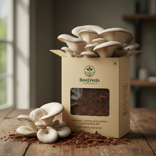Oyster Mushrooms