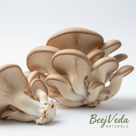 Oyster Mushrooms